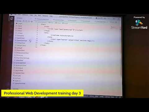 professional web development training day 3