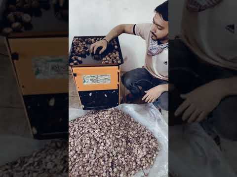 Mini Supari Chips Cutting Machine