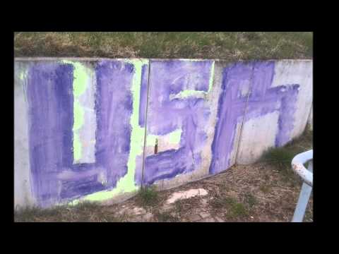 Akteone Sylejunk( Bilder von Wite MO und Fleaone)