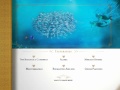 Disney Cruise Line DVD 2011 DVD Menu