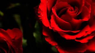 Red Roses For A Blue Lady -  Bert Kaempfert and His Orchestra -