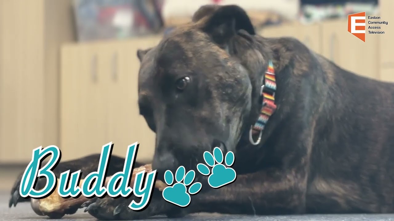 Easton News 7/12/2024