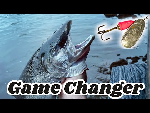 Nie wieder werden Sie mit einem Bluefox Spinner angeln!