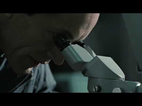 Alka Rex - Day Off  (unreleased)