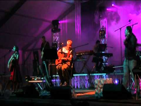 Davide Van de Sfroos - E semm partii