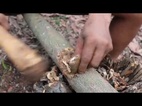 365  Days How I Survival, Cooking And Building In The Rain Forest   Full Video