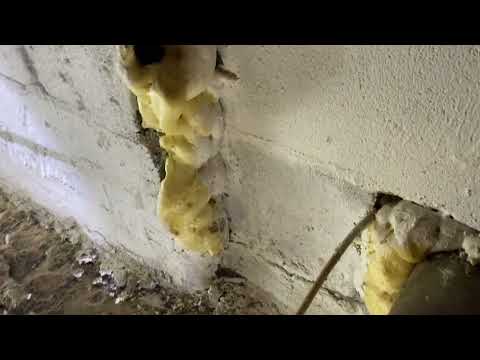 Mice Tear Through Spray Foam Insulation in West Creek, NJ