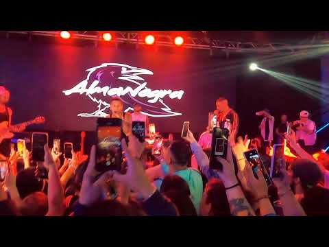 Almanegra - En Otra Vida - EN VIVO [Evento Bogotá] (COD.77)