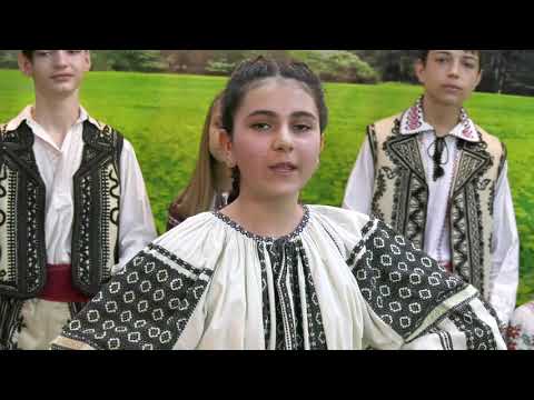 Alexandra Nicola - Cucule mare duşman