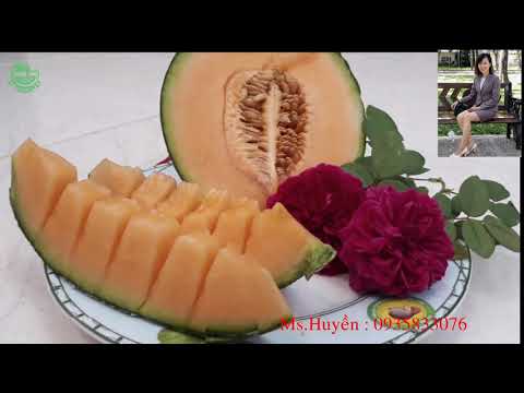 Mô hình đầu tư mới từ đất nền gần biển Bình Châu, kế resort 4* đã vận hành