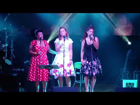 01  Pushing up the Daisies   Ace Of Spades 28 10 2017 Rammelsbach