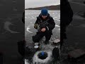 Video Thumbnail for First Ice Fishing Tasty Walleye