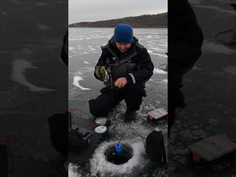First Ice Fishing Tasty Walleye