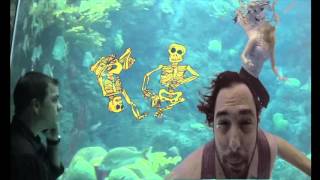 Catatonic Scripts - Jellosea (Official Music Video)