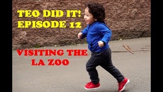 Best Visit to the LA ZOO!