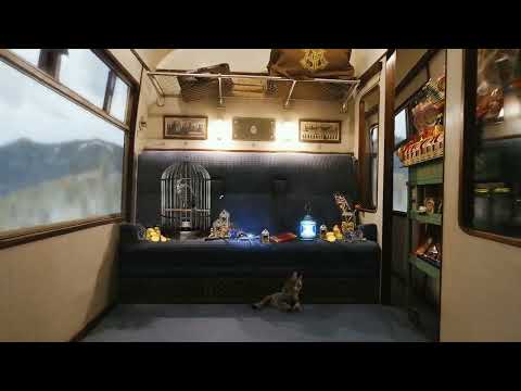 The Hogwarts Express 🚂 ASMR Harry Potter Philosopher's Stone Ambience ⚡ Study Relax   Train sounds