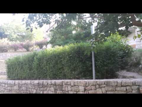 Magična živa ograda - Nijazim Kasumović Mostar, BiH video 01