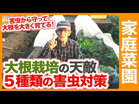 桜:最も重要な病気と害虫 トピックス