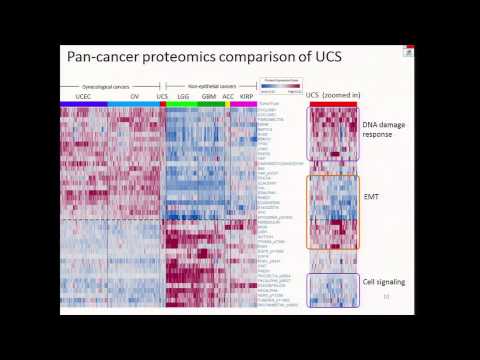 Integrated Molecular Characterization of Uterine Carcinosarcoma - Rehan Akbani