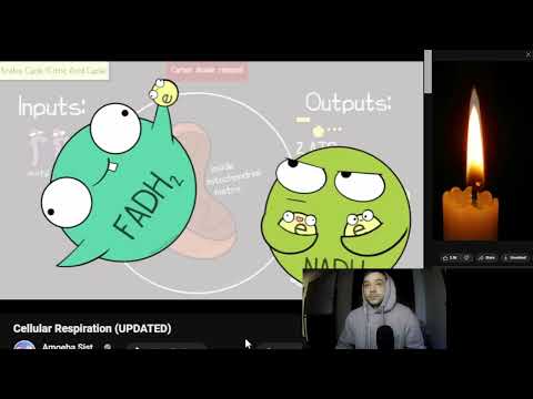 pre-lecture for five (0.5.1) | Faraday's Chemical History of a Candle