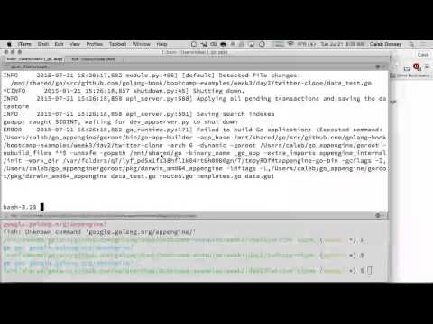 Golang Database & Email Applications – Queries and App Engine