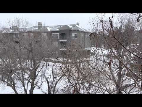 02/14/2021 Snowing in Dallas!