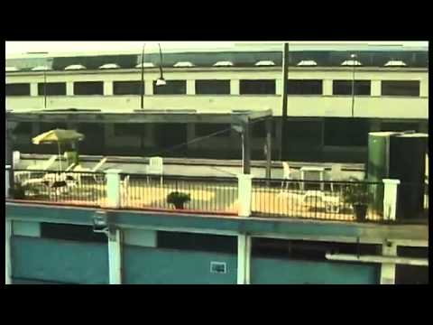 La notte da leoni 20 -  21 luglio canottieri milano