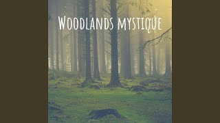 When the Water Falls