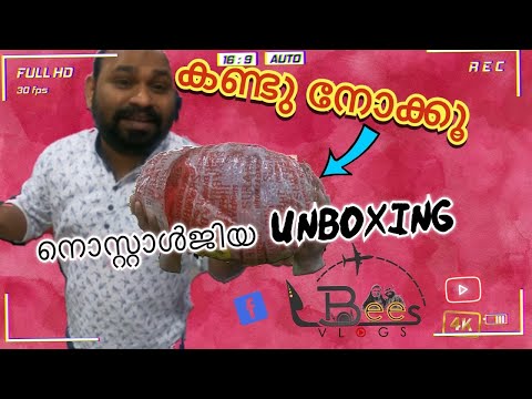 ഒരു ഒന്നൊന്നര നൊസ്റ്റാൾജിയ !! Nostalgia Unboxing series | Kerala local fruits| LBees vlogs |
