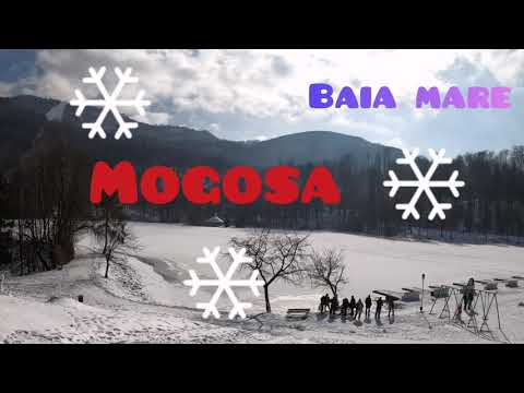 Mogosa ⛷️Winter🏂Maramures