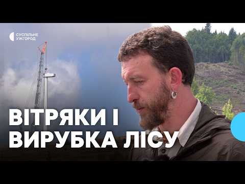 Уничтожение лесов Закарпатья: вырубка деревьев под ЛЭП, планы на новую дорогу к горе Гостра