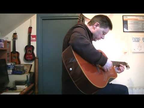 EKO RANGER VI Acoustic Guitar Assessment