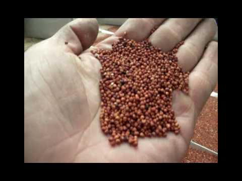 Mula sa anumang sweets mawalan ng timbang I threw ang tao at Nabawasan ako ng timbang