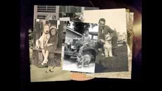 Me And My Dog - Brownie McGhee