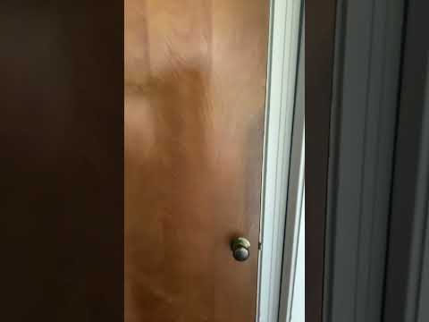 The perfect loop