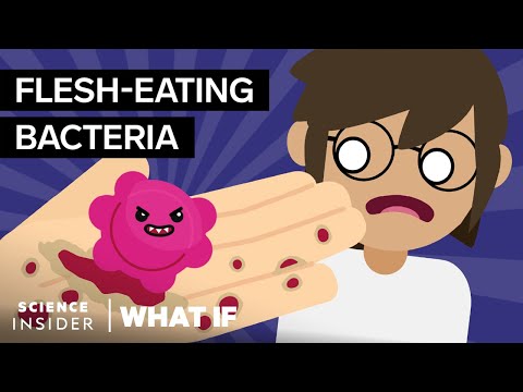 如果你從不洗手怎麼辦 (What If You Never Washed Your Hands)