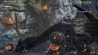 【MHＷｓ】神護石を求めて