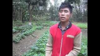 preview picture of video 'Khám Phá Quê Bác-Cửa Lò Nghệ An'