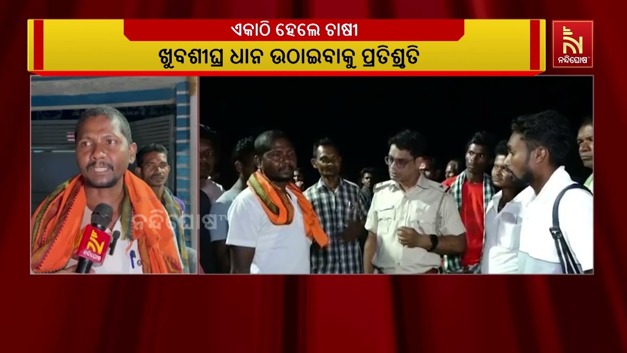 ମାଲକାନଗିରି ଜିଲ୍ଲା ମାଥିଲି ଲ୍ୟାମ୍ପ୍ସ ସମ୍ମୁଖରେ ଧାନ ନଉ?