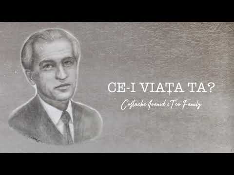 Teo Family - Colaj | Costache Ioanid (1)