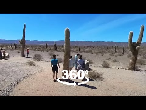 Vídeo 360 na trilha Mirador Secretos del Cardonal no Parque Los Cardones, Cachi, Salta, Argentina.