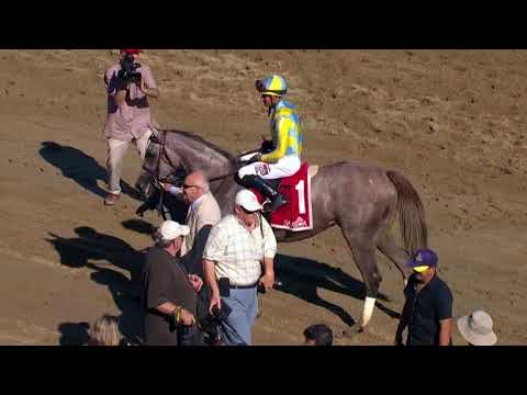 DARLEY ALCIBIADES STAKES TEASE