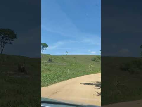 Comunidade Jeribá - Palmópolis - Mg