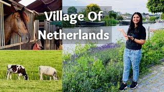 Netherlands Village Life, Farms & Animals| यूरोप के गाँव और खेत | Beautiful Dutch Village | In Hindi