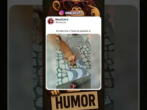O Tarzan versão bairro 😂🦍#comedia #animais #cachorro