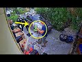 Neighbors Called The Police After They Heard A Man S Cries Coming From His House