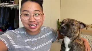 journey on low-dose testosterone: facial hair update & how people perceive my gender