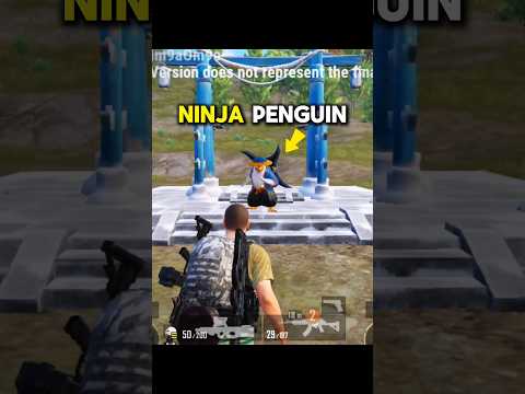 New Ai Teammate Powin Penguin 🤯✅ #pubgmobile #bgmi #tipsandtricks