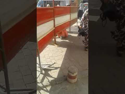 في مشهد مضحك مواطنون مغاربة يمارسون رياضة الزحف على البطون لتخطي الحواجز الحديدية