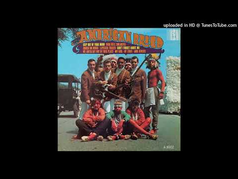 [04] The American Breed - Same Old Thing